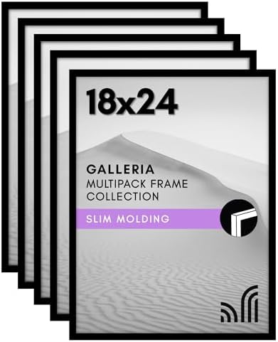 Americanflat 18x24 Poster Frame 5-Pack - Slim Molding - Black by Americanflat