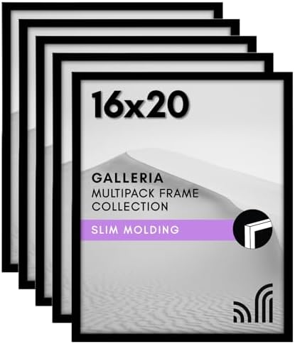 Americanflat 16x20 Poster Frame 5-Pack - Slim Molding - Black by Americanflat