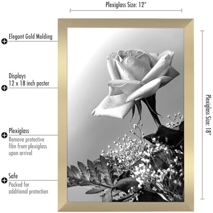 Americanflat 12x18 Poster Frame - Gold Engineered Wood with Polished Plexiglass - Wide Picture Frame for Vertical or Horizontal Wall Display - Epic Collection - Gold - Image 2