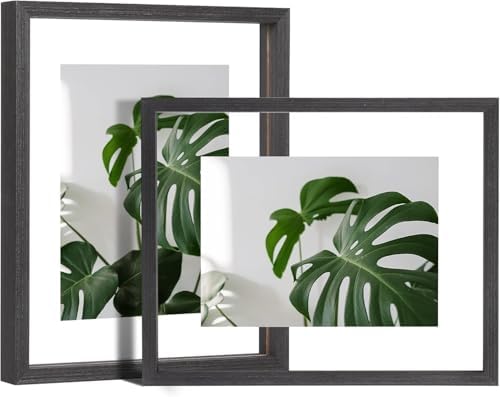 Egofine 8x10 Floating Frames Set of 2, Double Plexiglass Picture Frame, Made of Solid Wood Display Any Size Photo up to 8x10, Wall Mount or Tabletop Standing, Faded Black by Egofine