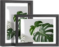 Egofine 5x7 Floating Frames Set of 2, Double Plexiglass Picture Frame, Made of Solid Wood Display Any Size Photo up to 5x7, Wall Mount or Tabletop Standing, Faded Black by Egofine