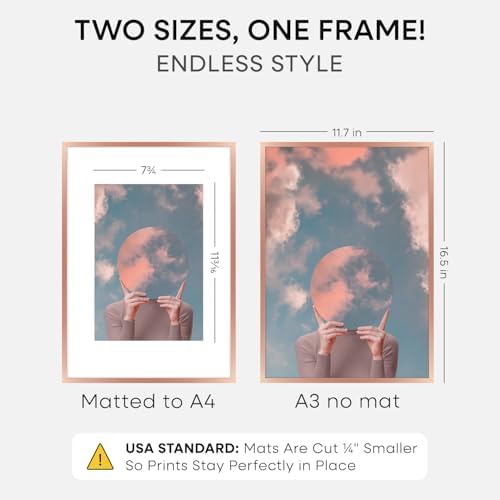 Homeforia A3 Rose Picture Frame, High-End Metal, A4 Mat, Glass - Image 2