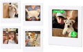 Magnetic Picture Frame for Polaroid Now+/Now/Flip/I-Type/600 Camera by wogozan