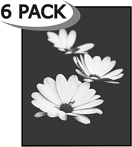 Americanflat Front Loading 8.5x11 Picture Frame with Shatter-Resistant Glass - Set of 6 - Metropolitan Collection - Photo Frame for Tabletop and Wall Display - Black - Image 2