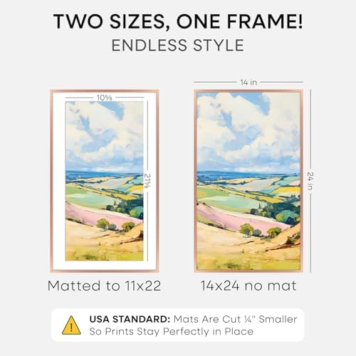 Homeforia 14x24 Rose Picture Frame, High-End Metal, 11x22 Mat, Glass - Image 2