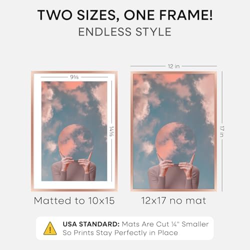 Homeforia 12x17 Rose Picture Frame, High-End Metal, 10x15 Mat, Glass - Image 2