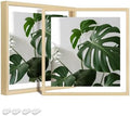 Egofine 8x8 Floating Frames Set of 2, Double Plexiglass Picture Frame, Made of Solid Wood Display Any Size Photo up to 8x8, Wall Mount or Tabletop Standing, Natural Wood by Egofine