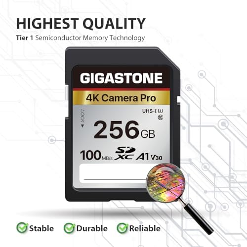 【5-Years Data Recovery】 GIGASTONE 256GB SD Card, 4K Camera Pro, UHS-I A1 V30 SDXC Memory Card 4K UHD Video Speed up to 170MB/s Compatible with Digital Camera, with 1 Mini Case - Image 2