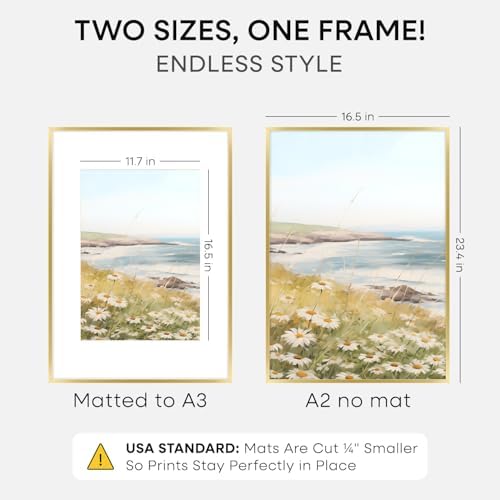 Homeforia A2 Gold Picture Frame, High-End Metal, A3 Mat, Glass - Image 2