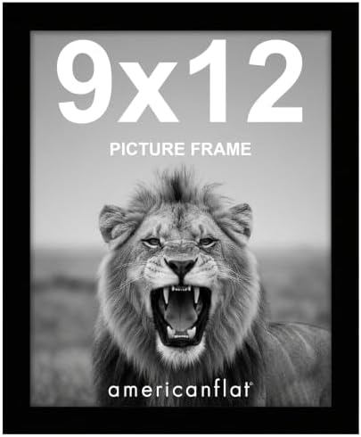 Americanflat 9x12 Picture Frame with Shatter-Resistant Glass - Signature Collection - Gallery-Style Frames Made of Engineered Wood - Photo Frame for Tabletop and Wall Display - Black by Americanflat
