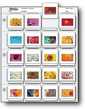 Print File 35mm Slide Pages Holds Twenty 2x2" Mounted Transparencies, Top Loading, Pack of 25 by PrintFileArchivalStorage