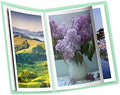 SXhyf A3 Diamond Painting Storage Book for 60 Diamond Painting Pics, Diamond Painting Accessories with 30 Pages Clear Sheet Protectors, Presentation Portfolio Folder for Artwork, 16.5x12.1in by SXhyf