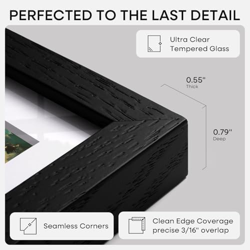Homeforia 24x24 Black Oak Picture Frame, High-End Wood, 20x20 Mat, Glass - Image 6