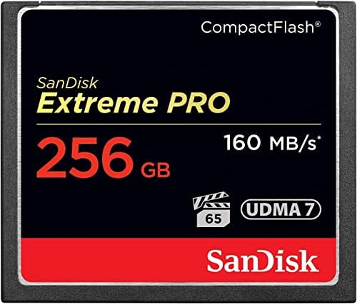 SANDISK 256GB Extreme PRO CompactFlash Memory Card, UDMA 7 by Unknown