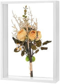 M METERXITY 1-Pack Dried Flower Frame, 8 x 12 Inch Double Acrylic Wooden Dried Flower Photo Floating Frame for Tabletop/DIY/Handicrafts [White] by MMETERXITY