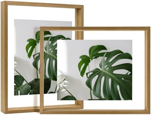 Egofine 11x14 Floating Frames Set of 2, Double Plexiglass Picture Frame, Made of Solid Wood Display Any Size Photo up to 11x14, Wall Mount or Tabletop Standing, Carbonized by Egofine