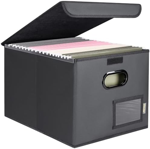 BALEINE File Organizer Box with Lid, Collapsible Hanging File Storage Box by BALEINE