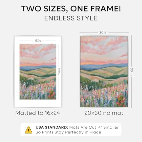 Homeforia 20x30 Silver Picture Frame, High-End Metal, 16x24 Mat, Glass - Image 2