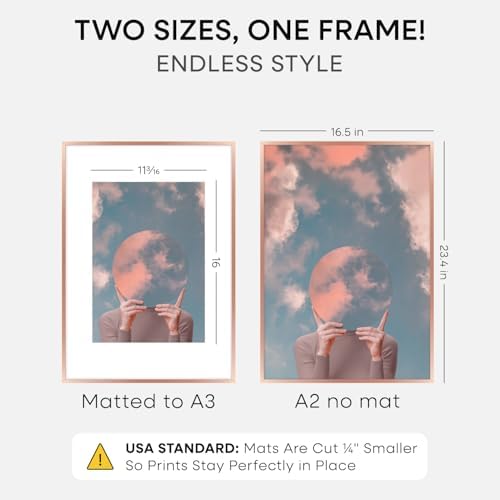 Homeforia A2 Rose Picture Frame, High-End Metal, A3 Mat, Glass - Image 2