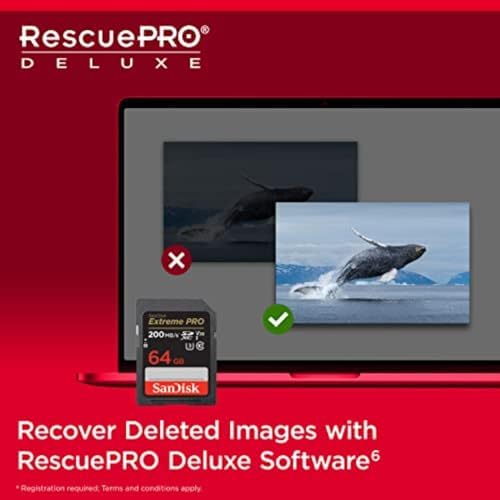 SANDISK 64GB Extreme PRO SDXC UHS-I Memory Card - C10, U3, V30, 4K UHD, SD Card - SDSDXXU-064G-GN4IN - Image 6