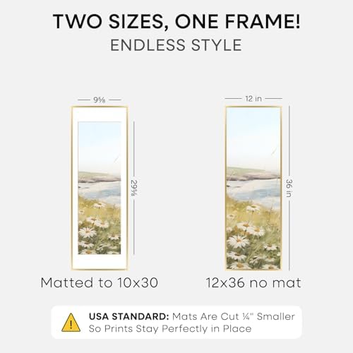 Homeforia 12x36 Gold Picture Frame, High-End Metal, 10x30 Mat, Glass - Image 2