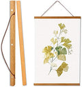 WITCOLOR 11x14 11x17 11x22 Poster Frames, Magnetic Light Wood Wooden Frame Hanger for Photo Picture Canvas Artwork Art Print Wall Hanging (1 Pack, 11", Teak Wood) by WITCOLOR