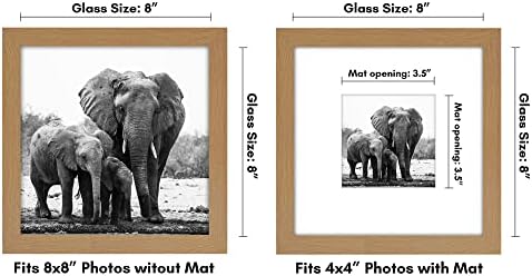 Americanflat 8x8 Picture Frame with Shatter-Resistant Glass - Use as 4x4 Frame with Mat or Display 8x8 Photo Without Mat - Signature Collection - Square Frames for Tabletop and Wall - Dark Oak - Image 2