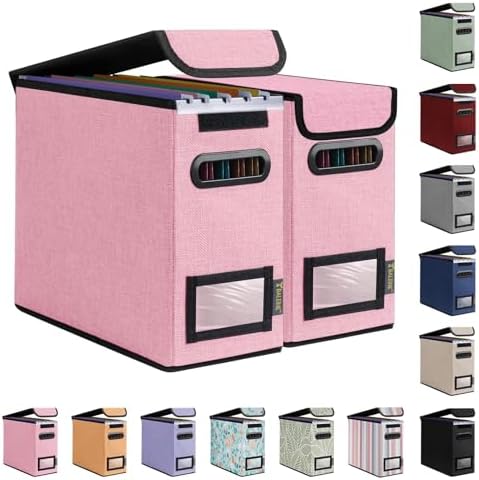 BALEINE File Organizer Box with Lid, Collapsible Hanging File Storage Box by BALEINE