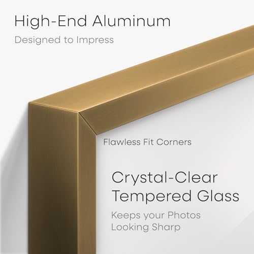 Homeforia 5x10 Bronze License Frame, High-End Metal, 3.5x8 Mat, Glass - Image 3
