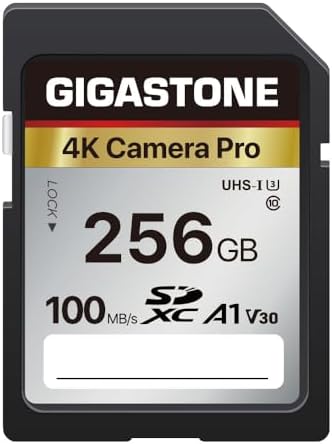 【5-Years Data Recovery】 GIGASTONE 256GB SD Card, 4K Camera Pro, UHS-I A1 V30 SDXC Memory Card 4K UHD Video Speed up to 170MB/s Compatible with Digital Camera, with 1 Mini Case by Gigastone