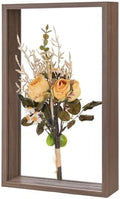 M METERXITY 1-Pack Dried Flower Frame, 7 x 12 Inch Double Acrylic Wooden Dried Flower Photo Floating Frame for Tabletop/DIY/Handicrafts [Coffee] by MMETERXITY