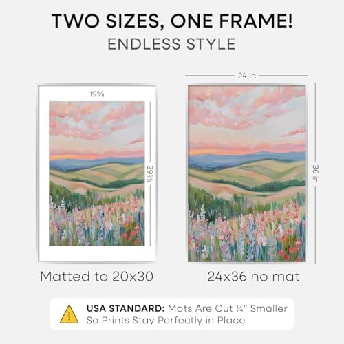 Homeforia 24x36 Silver Poster Frame, High-End Metal, 20x30 Mat, Glass - Image 2