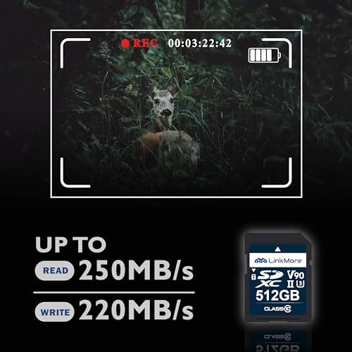 LinkMore XV29 512GB Full-Size SDXC Card, UHS-II U3 V90, R250/W220MB/s - Image 3