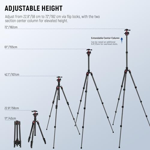 NEEWER Basics Travel Tripod for Camera, 72" Compact Lightweight Portable DSLR Stand, Ball Head, Arca Type QR Plate, Cell Phone Holder Compatible with iPhone Video Recording, Max Load 13.2 lbs, TP14 - Image 3