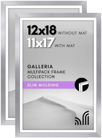 Americanflat 12x18 Poster Frame 2-Pack - Matted to 11x17 - Silver by Americanflat