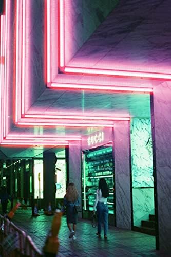 Amber 800 35mm Color Negative Cine Film, 27 Exposures, ISO800, 135, Cinematic, Motion Picture Style - Image 4