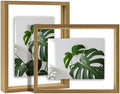 Egofine 8x10 Floating Frames Set of 2, Double Plexiglass Picture Frame, Made of Solid Wood Display Any Size Photo up to 8x10, Wall Mount or Tabletop Standing, Carbonized by Egofine