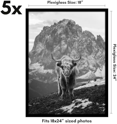 Americanflat 18x24 Poster Frame 5-Pack - Slim Molding - Black - Image 2