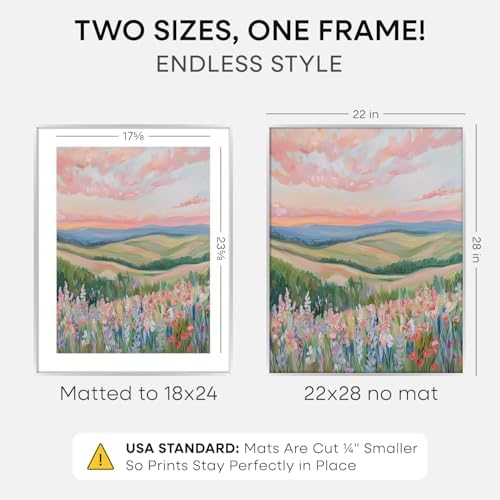 Homeforia 22x28 Silver Poster Frame, High-End Metal, 18x24 Mat, Glass - Image 2