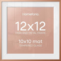 Homeforia 12x12 Rose Picture Frame, High-End Metal, 10x10 Mat, Glass by Homeforia