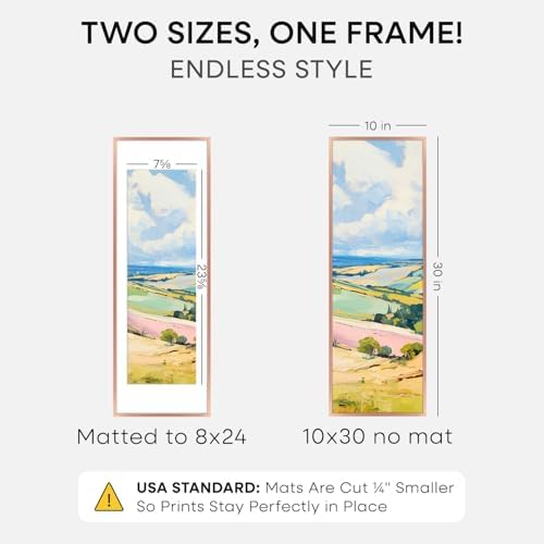 Homeforia 10x30 Rose Picture Frame, High-End Metal, 8x24 Mat, Glass - Image 2