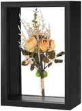 M METERXITY Dried Flower Frame 4x6in Double Acrylic for DIY Black by MMETERXITY