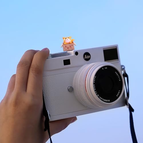 Camera Hot Shoe Cover, Cartoon Hot Shoe Cap, Hot Shoe Protector Compatible with Sony Fujifilm Fuji Canon Nikon Pentax Leical Panasonic (2pcs Cat) - Image 5