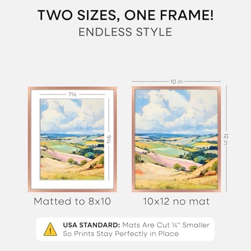 Homeforia 10x12 Rose Picture Frame, High-End Metal, 8x10 Mat, Glass - Image 2