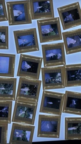 35mm Slide Mounts (100 Pack) – Reusable Plastic Snap-in Frames for 135 Film – Glassless Archival Design Prevents Newton Rings – Includes Hard-Shell Storage Box - Image 6