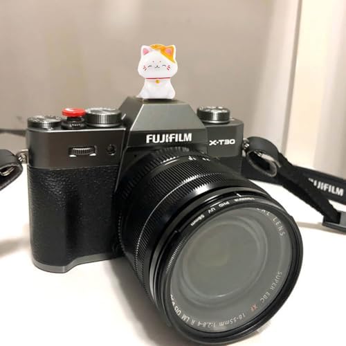Camera Hot Shoe Cover, Cute Hot Shoe Cap, Hot Shoe Protector Compatible with Sony Fujifilm Fuji Canon Nikon Pentax Leical Panasonic (Lucky Cat) - Image 2