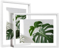 Egofine 9x12 Floating Frames Set of 2, Double Plexiglass Picture Frame, Made of Solid Wood Display Any Size Photo up to 9x12, Wall Mount or Tabletop Standing, White by Egofine