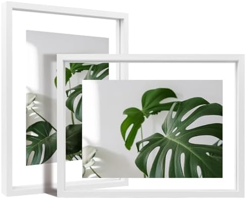 Egofine 9x12 Floating Frames Set of 2, Double Plexiglass Picture Frame, Made of Solid Wood Display Any Size Photo up to 9x12, Wall Mount or Tabletop Standing, White by Egofine