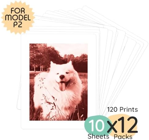 kiimento Print Refill Pack for Model P2 Instant Print Pro Camera – 120 Ink-Free Thermal Print Cards (4 Styles, 30 Each) – BPA & BPS Free – Camera Not Included - Image 2