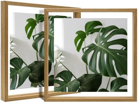 Egofine 12x12 Floating Frames Set of 2, Double Plexiglass Picture Frame, Made of Solid Wood Display Any Size Photo up to 12x12, Wall Mount or Tabletop Standing,Carbonized by Egofine